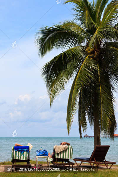 情侶在熱帶島嶼的海灘上放松