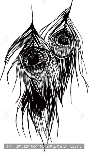 孔雀羽毛單色