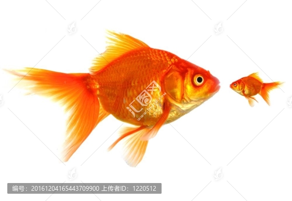 不同的