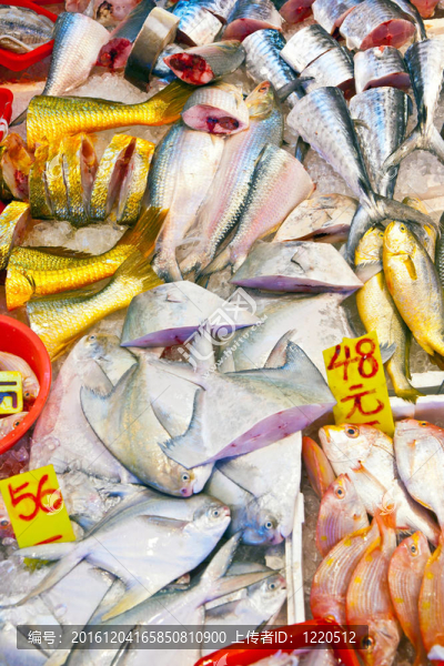 市場(chǎng)上的鮮魚