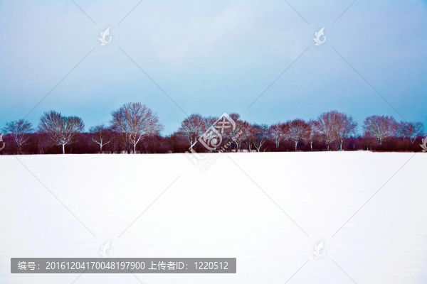 與樹(shù)木在冬天的雪壩