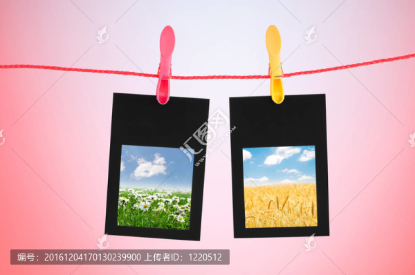 相框與自然照片