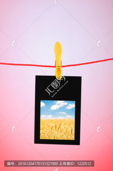 相框與自然照片