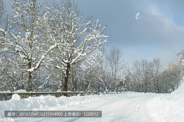 剛下的雪