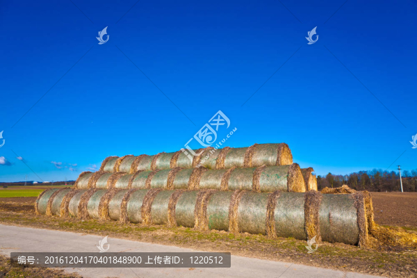 草包在田野上與藍天