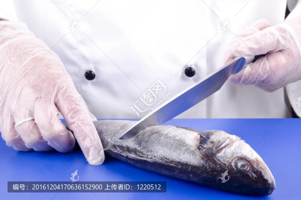 女廚師在煎之前切鱸魚(yú)