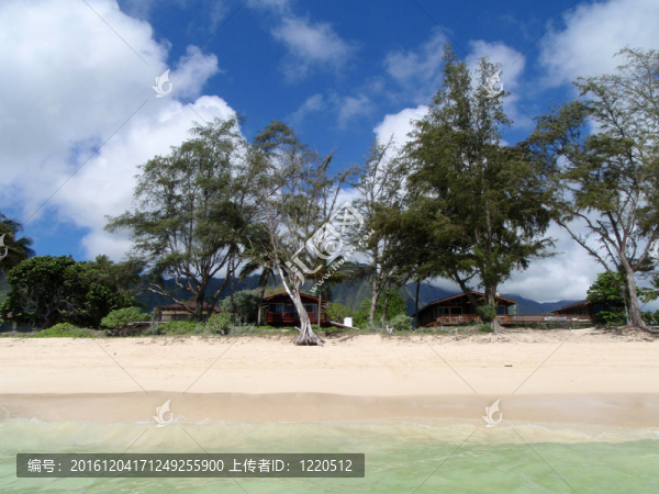 威瑪納諾海濱瓦胡島；夏威夷