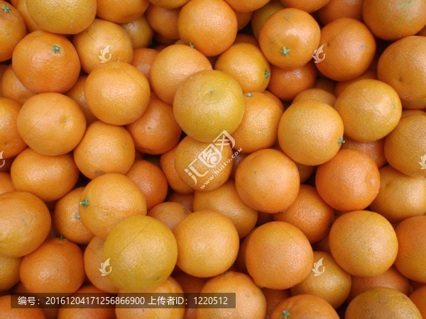 在農(nóng)貿(mào)市場的金桔
