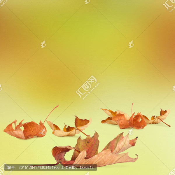 明亮的秋天的葉子與背景虛化的背景