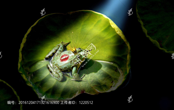 青蛙王子在聚光燈下