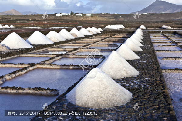 鹽鹽從janubio；蘭薩羅特島煉油廠；