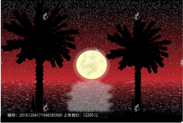 熱帶的夜晚