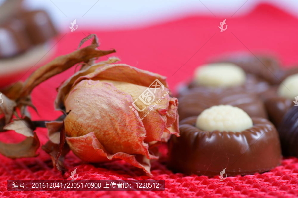 巧克力糖果的紅色背景上的玫瑰
