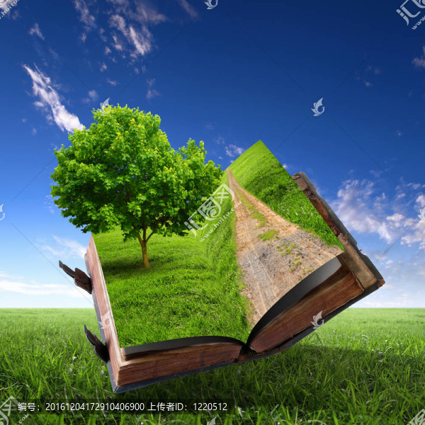 里面有綠色景觀的書
