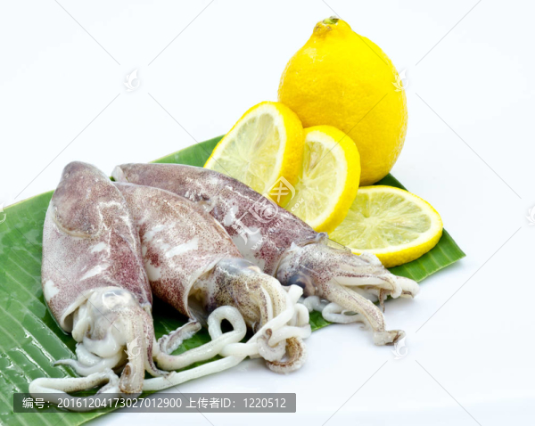 新鮮的魚