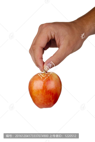 嘎拉蘋果