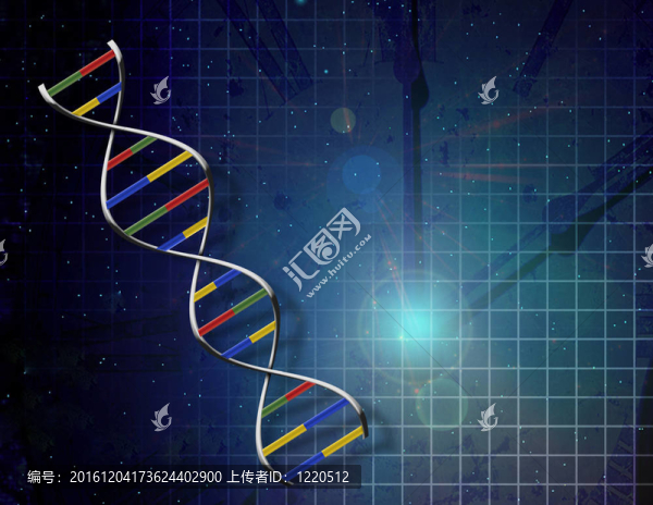時(shí)間DNA