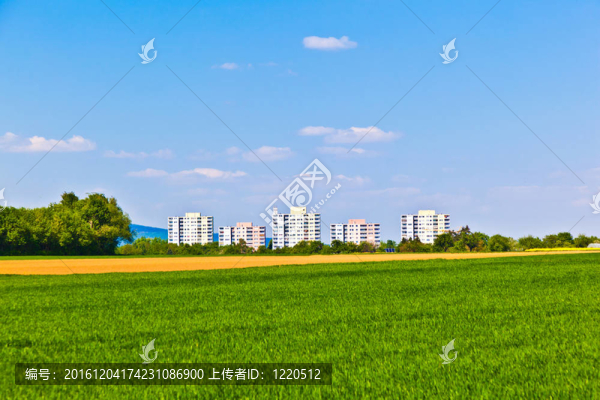 農(nóng)村景觀(guān)住宅小區(qū)