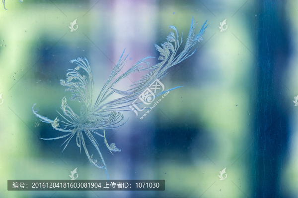 冰窗花
