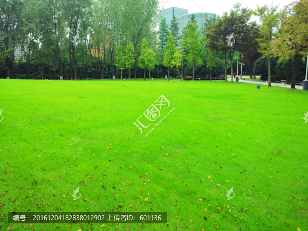 城市公園大草坪