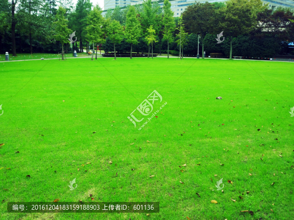 城市公園大草坪