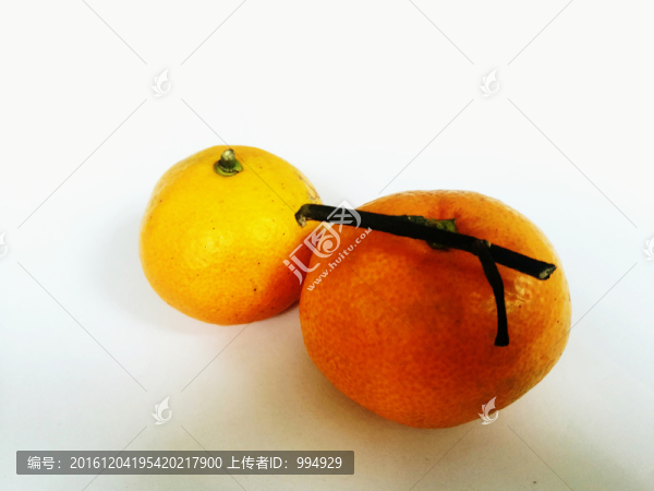 柑橘