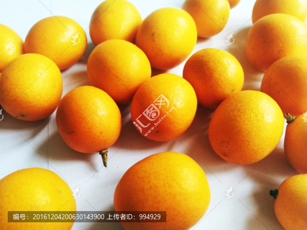 金桔