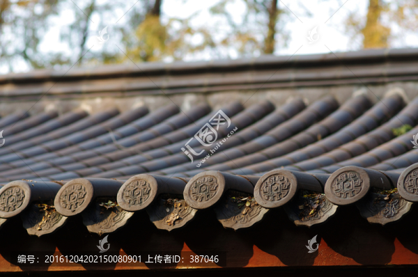 屋頂