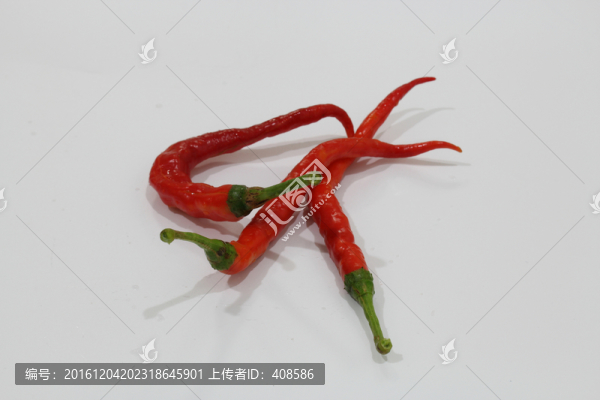 紅辣椒