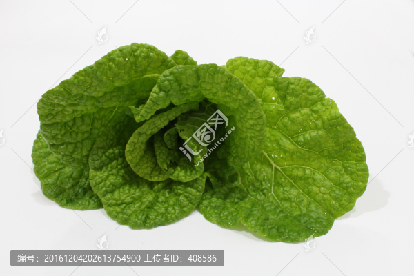 新鮮卷心菜,包心菜,蔬菜