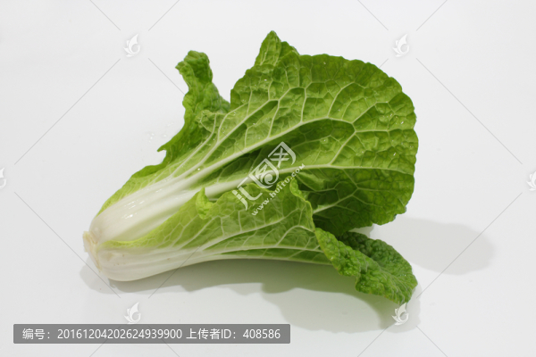 新鮮卷心菜,包心菜,蔬菜