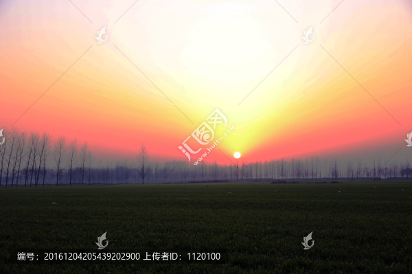 田野日落