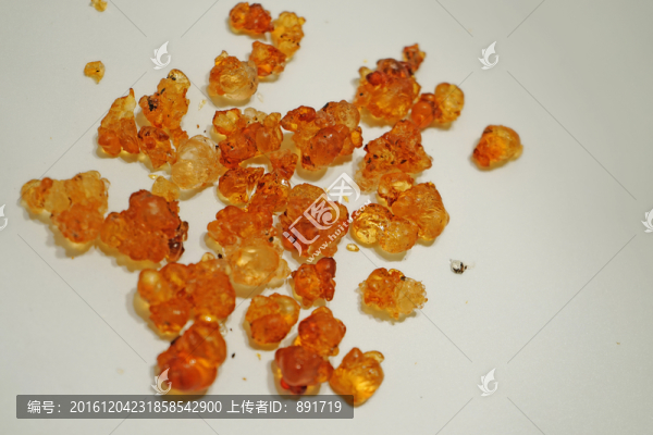 桃膠高清大尺寸,桃樹膠
