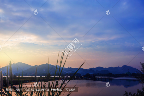 湖泊,天空,蘆葦