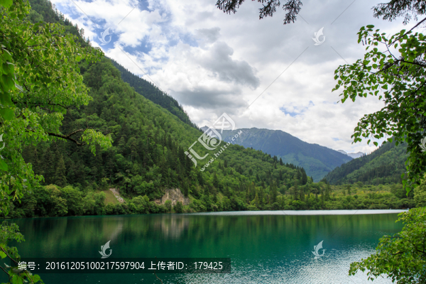 九寨溝熊貓海