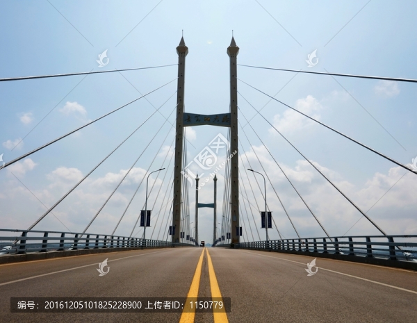 鋼索斜拉大橋