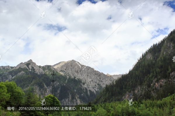 九寨溝高山森林