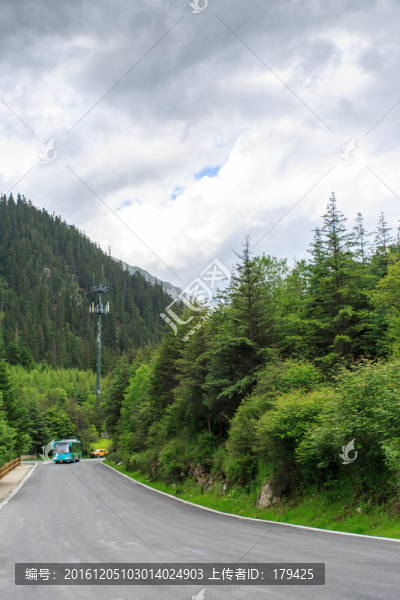 九寨溝高山森林公路