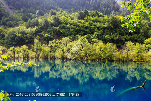九寨溝老虎海