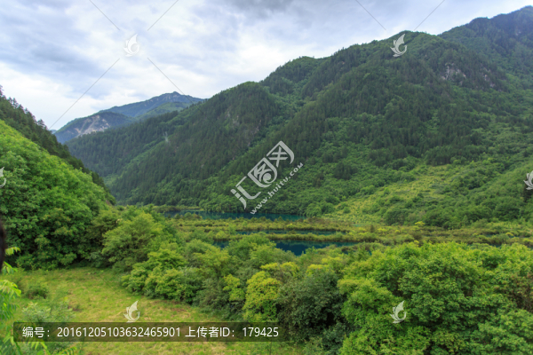 九寨溝樹正群海