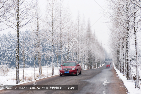 雪后公路