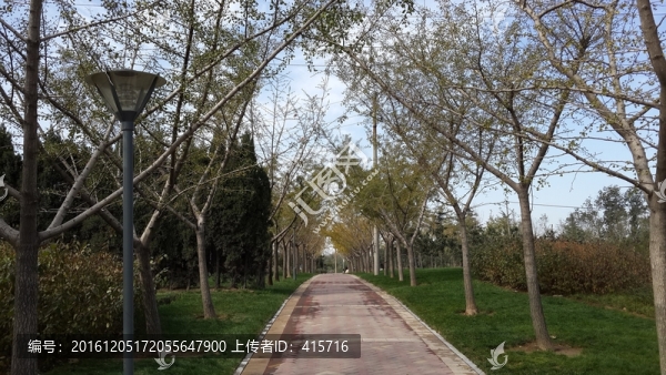 公園小路
