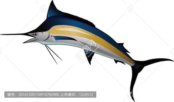 馬林魚