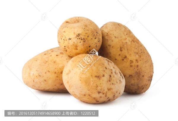 土豆