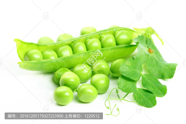 孤立的豌豆