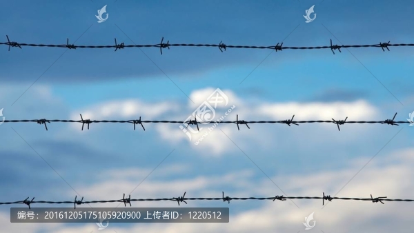 鐵絲網(wǎng)