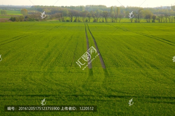 場