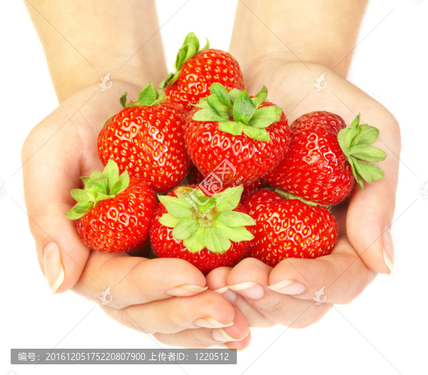 Strawberry的手