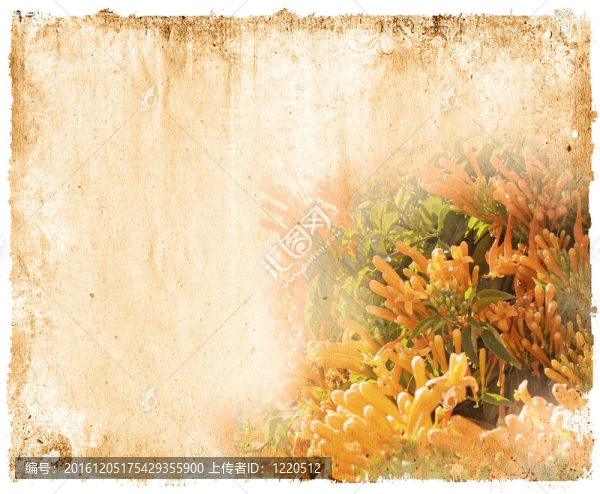 老式紙花