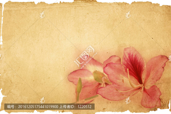 老式紙花